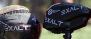 exalt-logo.jpg